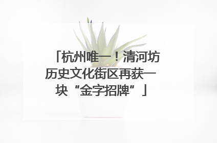 杭州唯一！清河坊历史文化街区再获一块“金字招牌”