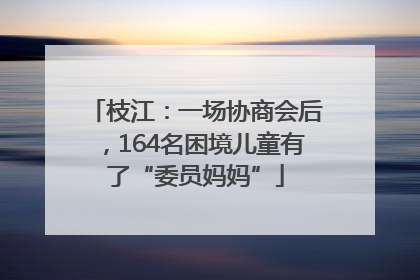 枝江：一场协商会后，164名困境儿童有了“委员妈妈”