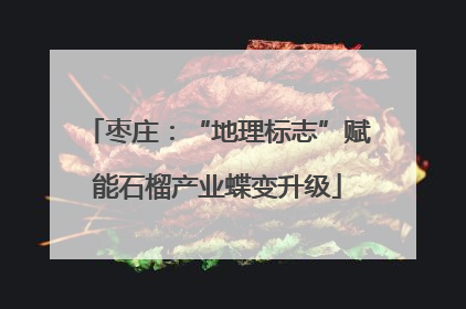 枣庄：“地理标志”赋能石榴产业蝶变升级
