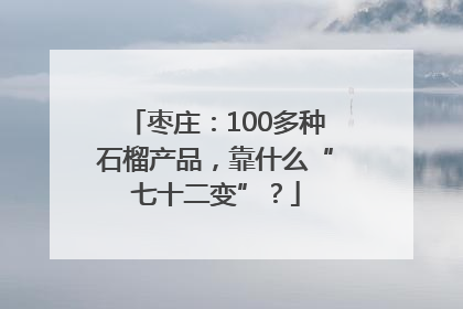 枣庄：100多种石榴产品，靠什么“七十二变”？