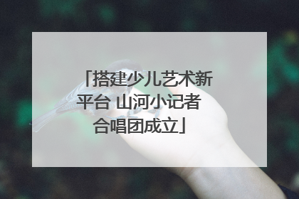 搭建少儿艺术新平台 山河小记者合唱团成立
