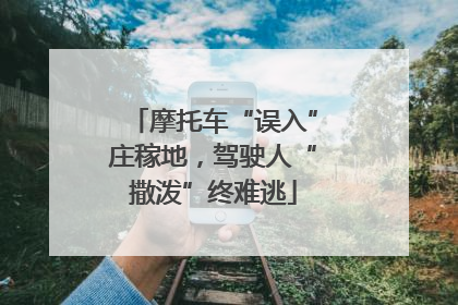 摩托车“误入”庄稼地，驾驶人“撒泼”终难逃