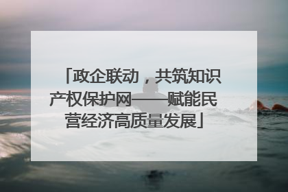 政企联动，共筑知识产权保护网——赋能民营经济高质量发展