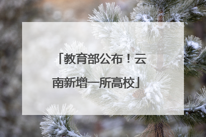 教育部公布！云南新增一所高校