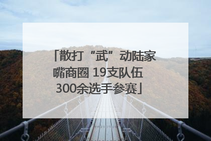 散打“武”动陆家嘴商圈 19支队伍300余选手参赛