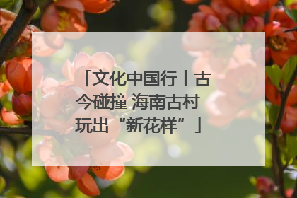 文化中国行丨古今碰撞 海南古村玩出“新花样”