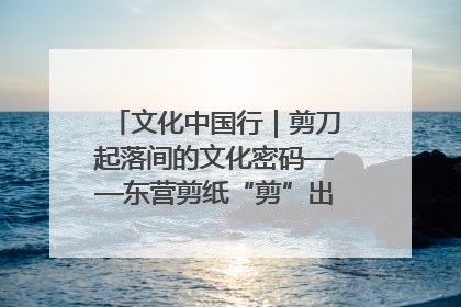 文化中国行｜剪刀起落间的文化密码——东营剪纸“剪”出非遗传承与现代生活的融合之道