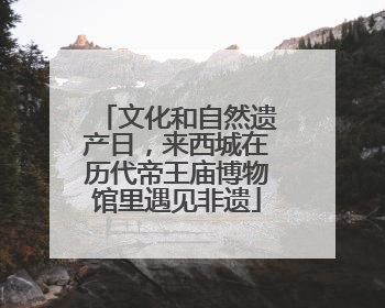 文化和自然遗产日，来西城在历代帝王庙博物馆里遇见非遗