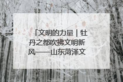 文明的力量｜牡丹之都吹拂文明新风——山东菏泽文明创建一线见闻