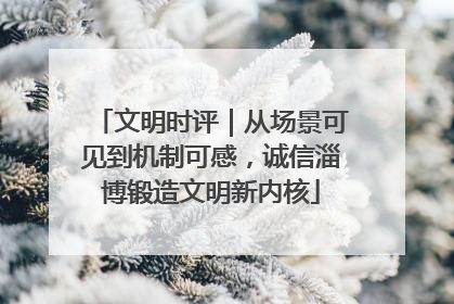文明时评｜从场景可见到机制可感，诚信淄博锻造文明新内核