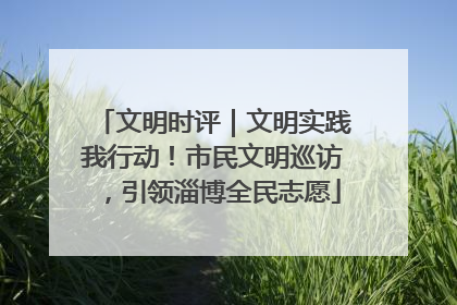 文明时评｜文明实践我行动！市民文明巡访，引领淄博全民志愿