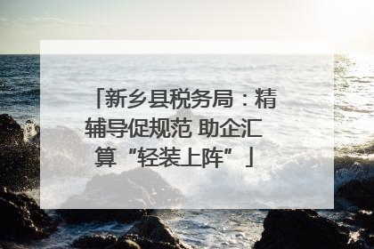 新乡县税务局：精辅导促规范 助企汇算“轻装上阵”