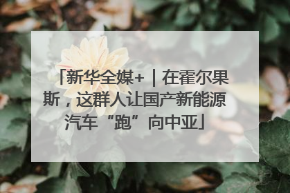 新华全媒+｜在霍尔果斯，这群人让国产新能源汽车“跑”向中亚
