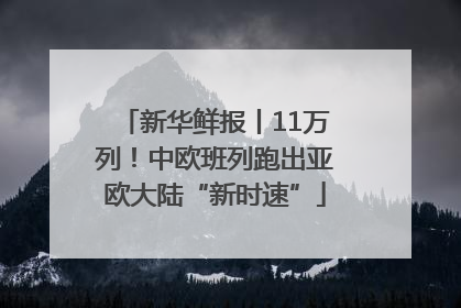 新华鲜报丨11万列！中欧班列跑出亚欧大陆“新时速”