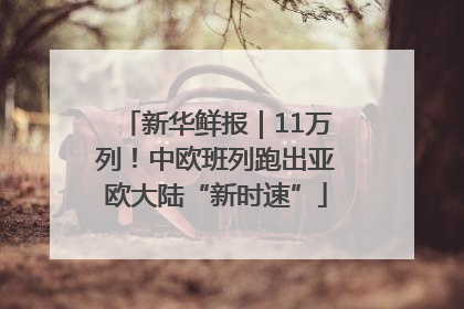 新华鲜报｜11万列！中欧班列跑出亚欧大陆“新时速”