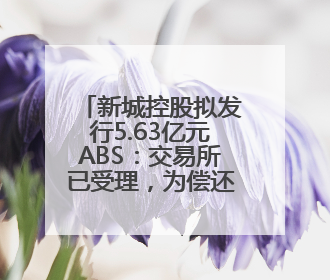 新城控股拟发行5.63亿元ABS：交易所已受理，为偿还美元债做准备