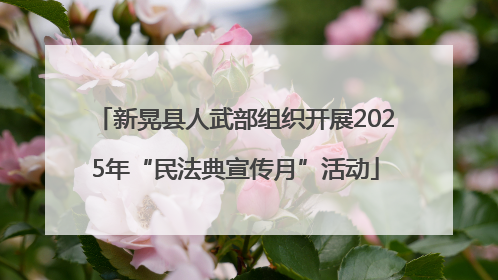 新晃县人武部组织开展2025年“民法典宣传月”活动