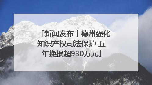 新闻发布丨德州强化知识产权司法保护 五年挽损超930万元