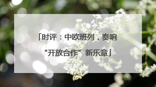 时评：中欧班列，奏响“开放合作”新乐章