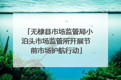 无棣县市场监管局小泊头市场监管所开展节前市场护航行动