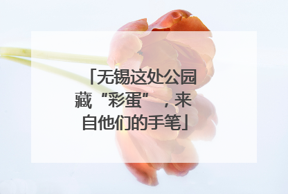 无锡这处公园藏“彩蛋”，来自他们的手笔