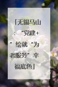 无锡马山：“党建+”绘就“为老服务”幸福底色