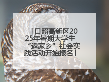 日照高新区2025年暑期大学生“返家乡”社会实践活动开始报名