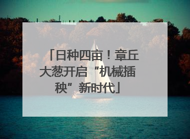 日种四亩！章丘大葱开启“机械插秧”新时代