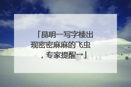 昆明一写字楼出现密密麻麻的飞虫，专家提醒→
