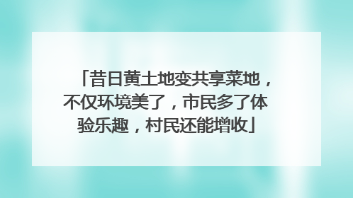 昔日黄土地变共享菜地，不仅环境美了，市民多了体验乐趣，村民还能增收