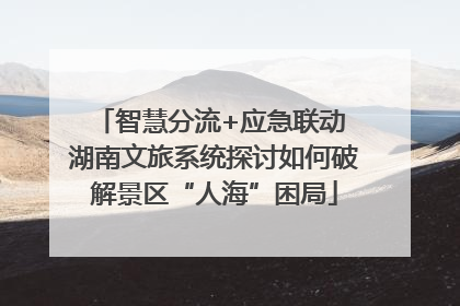 智慧分流+应急联动 湖南文旅系统探讨如何破解景区“人海”困局