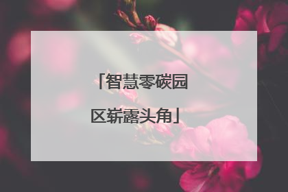 智慧零碳园区崭露头角