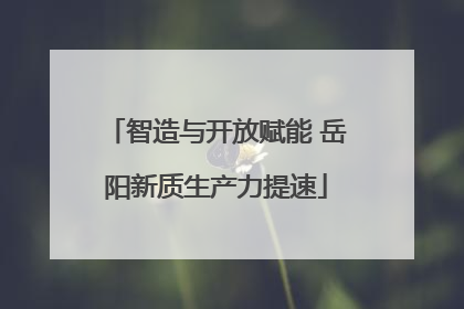 智造与开放赋能 岳阳新质生产力提速