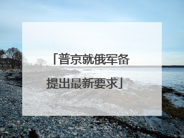 普京就俄军备提出最新要求