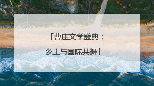 曹庄文学盛典：乡土与国际共舞