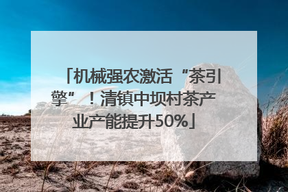 机械强农激活“茶引擎”！清镇中坝村茶产业产能提升50%