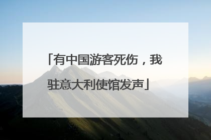 有中国游客死伤，我驻意大利使馆发声