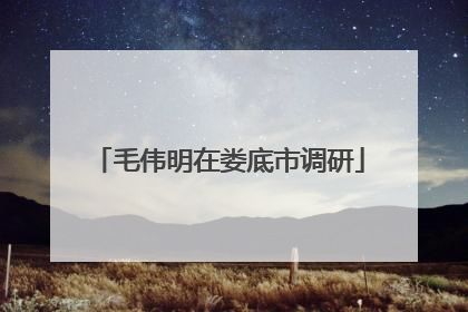 毛伟明在娄底市调研