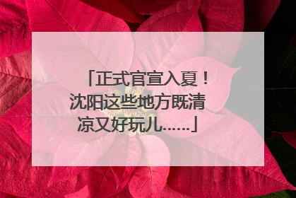 正式官宣入夏！沈阳这些地方既清凉又好玩儿……