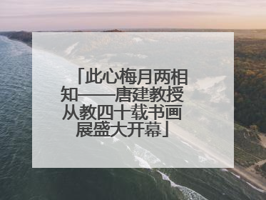 此心梅月两相知——唐建教授从教四十载书画展盛大开幕