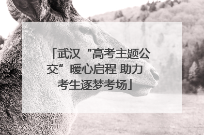 武汉“高考主题公交”暖心启程 助力考生逐梦考场
