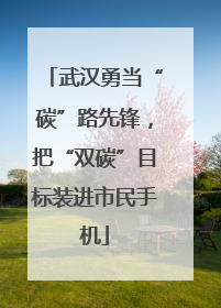 武汉勇当“碳”路先锋，把“双碳”目标装进市民手机