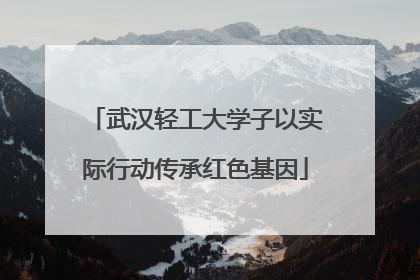 武汉轻工大学子以实际行动传承红色基因