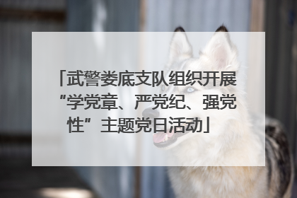 武警娄底支队组织开展“学党章、严党纪、强党性”主题党日活动