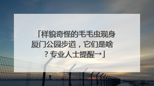 样貌奇怪的毛毛虫现身厦门公园步道，它们是啥？专业人士提醒→
