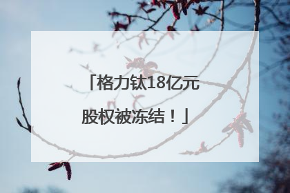 格力钛18亿元股权被冻结！