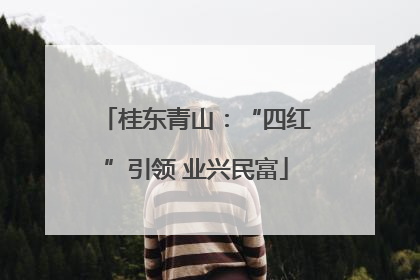 桂东青山：“四红”引领 业兴民富