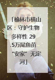 榆林市横山区：守护生物多样性 29.5万尾鱼苗“安家”无定河