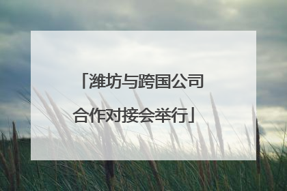 潍坊与跨国公司合作对接会举行