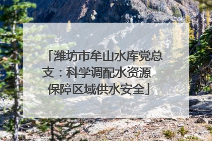 潍坊市牟山水库党总支：科学调配水资源 保障区域供水安全
